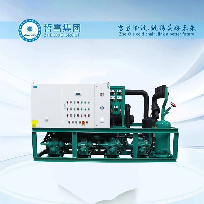 Condensing Unit With Piston Compressors With CO2 Refrigerant