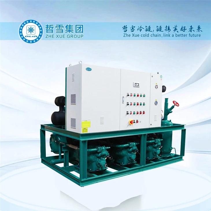 Condensing Unit With Piston Compressors With CO2 Refrigerant