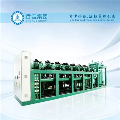 ชุดควบแน่นพร้อมแร็คคอมเพรสเซอร์สกรู BITZER สำหรับอุณหภูมิต่ำ