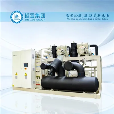 อินเวอร์เตอร์แบบสกรูคู่ขนาน